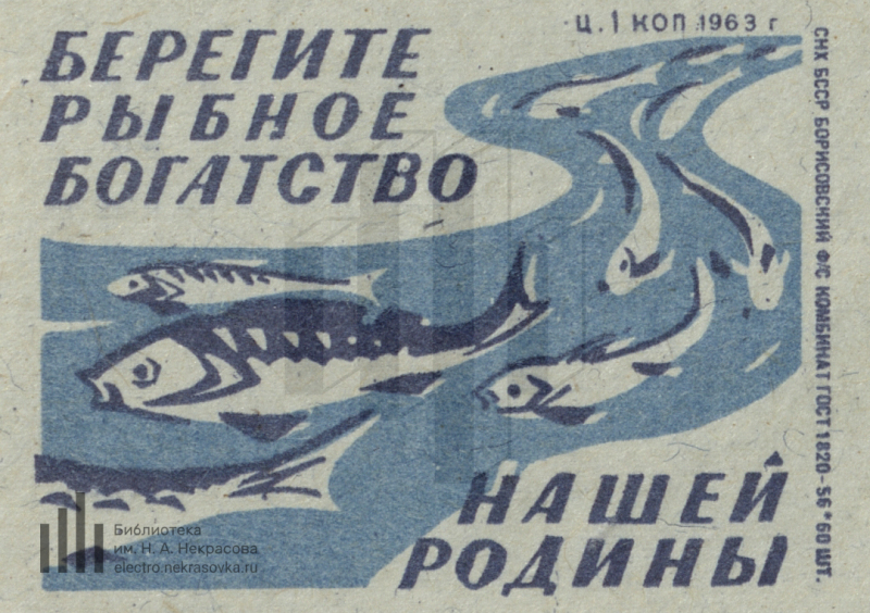 Богатства нашей родины. Берегите рыб. Советские плакаты рыба. Советские плакаты про браконьеров. Советские плакаты про рыбный день.
