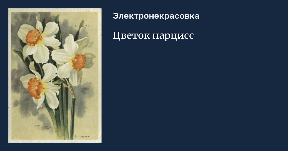 Тест на нарцисса. Цветы художественная открытка. Нарциссы цветы в живописи великих художников. Нарцисс цветок описание. Нарцисс цветок смерти.